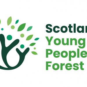 苏格兰的年轻人的森林