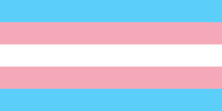 跨性别青年出柜指南